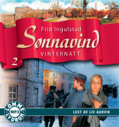 Vinternatt av Frid Ingulstad (Lydbok MP3-CD)