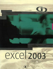 Excel 2003 av Øystein Falch, Kjell Arne Iversen og Thore E. Nilsen (Heftet)