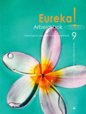 Eureka! 9 av Merete Hannisdal og John Haugan (Heftet)