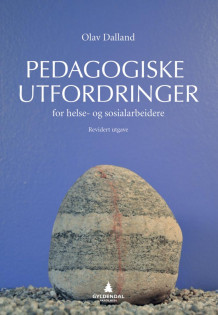 Pedagogiske utfordringer for helse- og sosialarbeidere av Olav Dalland (Heftet)