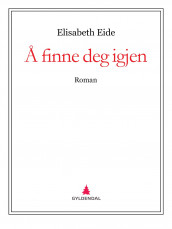 Å finne deg igjen av Elisabeth Eide (Ebok)