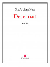 Det er natt av Ole Asbjørn Ness (Ebok)