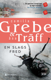 En slags fred av Camilla Grebe og Åsa Träff (Ebok)