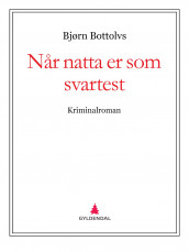 Når natta er som svartest av Bjørn Bottolvs (Ebok)