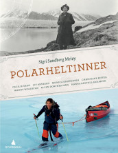 Polarheltinner av Sigri Sandberg Meløy (Innbundet)