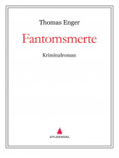 Fantomsmerte av Thomas Enger (Ebok)