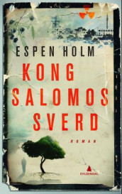 Kong Salomos sverd av Espen Holm (Innbundet)