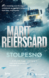 Stolpesnø av Marit Reiersgård (Ebok)