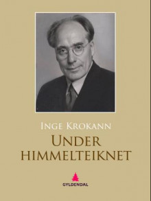 Under himmelteiknet av Inge Krokann (Ebok)
