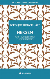 Heksen av Bergljot Hobæk Haff (Ebok)