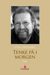 Tenke på i morgen av Stig Holmås (Ebok)