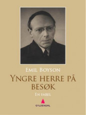 Yngre herre på besøk av Emil Boyson (Ebok)