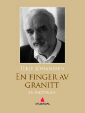 En finger av granitt av Terje Johanssen (Ebok)
