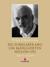 Jeg forklarer meg om kjærligheten mellom oss av Terje Johanssen (Ebok)