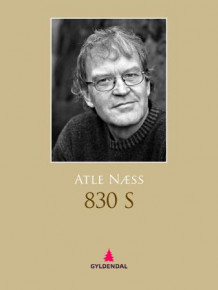 830 S av Atle Næss (Ebok)