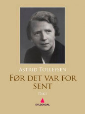 Før det var for sent av Astrid Tollefsen (Ebok)