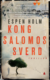 Kong Salomos sverd av Espen Holm (Heftet)