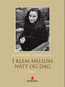 I klem mellom natt og dag av Cathrine Grøndahl (Ebok)