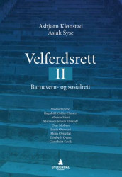 Velferdsrett II av Marion Hirst, Marianne Jenum Hotvedt, Julia Köhler-Olsen, Olav Molven, Bente Ohnstad, Mons Oppedal og Gunnbritt Søvik (Ebok)