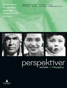 Perspektiv av Per Anders Madsen, Inger Hilde Killerud, Hege Roaldset, Ane Bjølgerud Hansen og Eivind Sæther (Heftet)