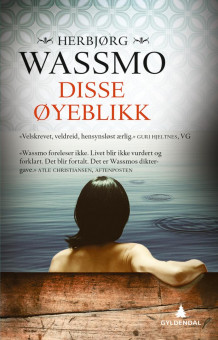 Disse øyeblikk av Herbjørg Wassmo (Heftet)