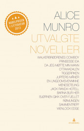 Utvalgte noveller av Alice Munro (Innbundet)