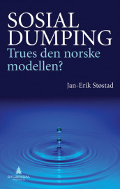 Sosial dumping av Jan-Erik Støstad (Ebok)