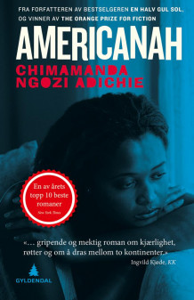 Americanah av Chimamanda Ngozi Adichie (Heftet)