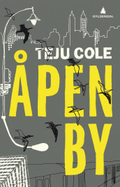 Åpen by av Teju Cole (Ebok)