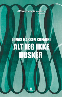 Alt jeg ikke husker av Jonas Hassen Khemiri (Ebok)