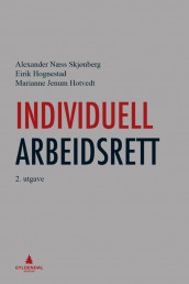 Individuell arbeidsrett av Eirik Hognestad, Marianne Jenum Hotvedt og Alexander Næss Skjønberg (Ebok)