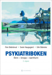 Psykiatriboken av Svein Haugsgjerd, Finn Skårderud og Erik Stänicke (Heftet)