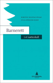 Barnerett i et nøtteskall av Kirsten Kolstad Kvalø og Julia Köhler-Olsen (Ebok)