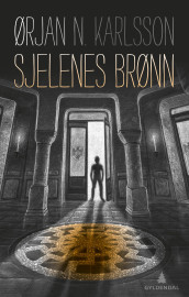 Sjelenes brønn av Ørjan N. Karlsson (Ebok)