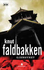 Gjensynet av Knut Faldbakken (Ebok)
