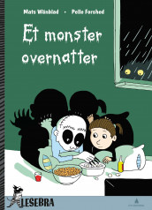 Et monster overnatter av Mats Wänblad (Innbundet)