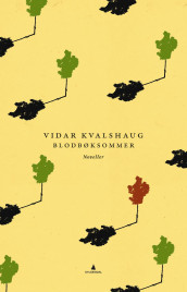 Blodbøksommer av Vidar Kvalshaug (Ebok)