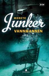 Vannmannen av Merete Junker (Innbundet)