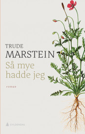 Så mye hadde jeg av Trude Marstein (Ebok)