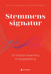 Stemmens signatur av Åshild Kyvik Bauge og Kristin Kjølberg (Ebok)