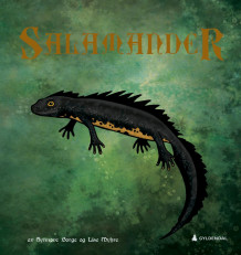 Salamander av Synnøve Borge (Innbundet)
