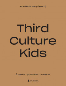 Third culture kids av Aon Raza Naqvi (Ebok)