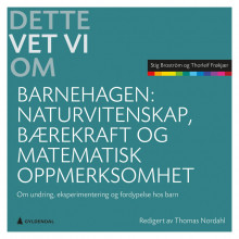 Naturvitenskap, bærekraft og matematisk oppmerksomhet av Stig Broström og Thorleif Frøkjær (Heftet)