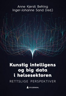 Kunstig intelligens og big data i helsesektoren av Anne Kjersti Befring og Inger-Johanne Sand (Ebok)