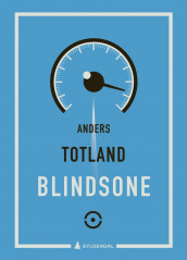 Blindsone av Anders Totland (Ebok)