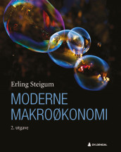 Moderne makroøkonomi av Erling Steigum (Ebok)