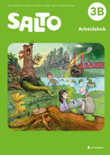 Salto 3B, 2. utg. av Kari Kolbjørnsen Bjerke, Siw Monica Fjeld og Ingvill Krogstad Svanes (Heftet)