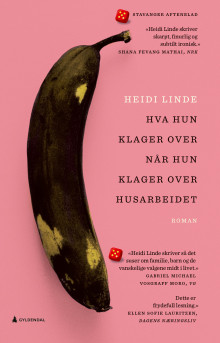 Hva hun klager over når hun klager over husarbeidet av Heidi Linde (Ebok)