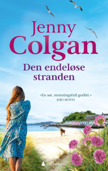 Den endeløse stranden av Jenny Colgan (Heftet)