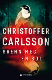 Brenn meg en sol av Christoffer Carlsson (Innbundet)
